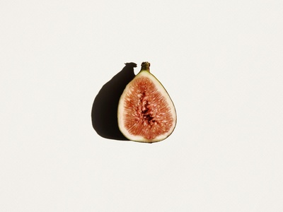 Fig
