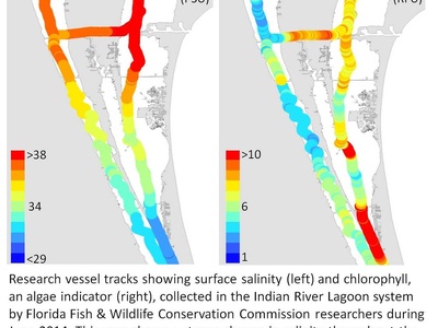 Indian River Lagoon Blooms