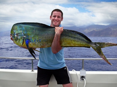 Mahi-mahi