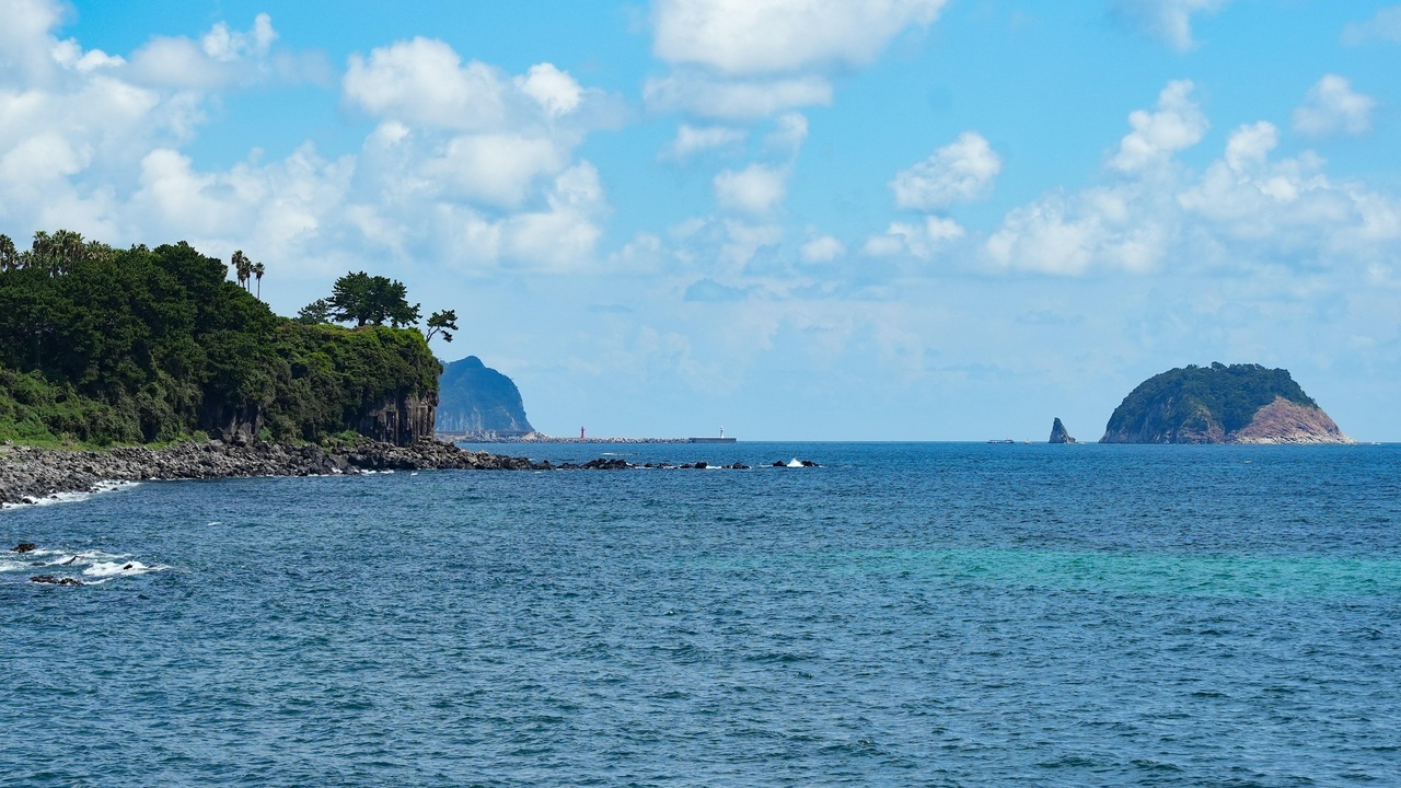 Jeju coastal kelp forests and marine life