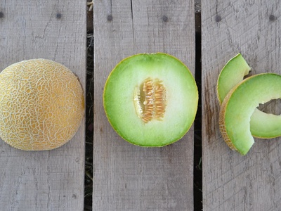 Melon (muskmelon)