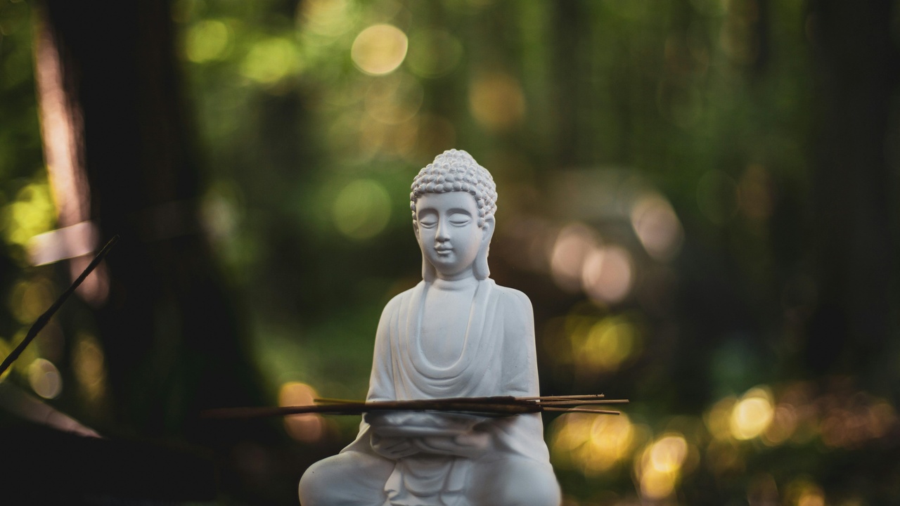 Person sitting on a log in the woods practicing mindful breathing