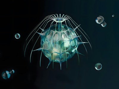 Nomad Jellyfish