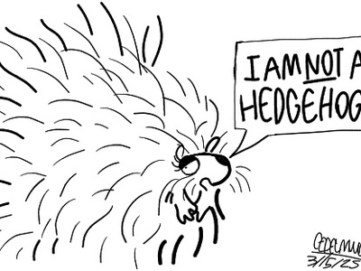 North American porcupine