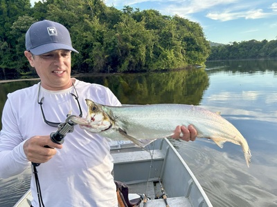 Payara (Vampire Fish)