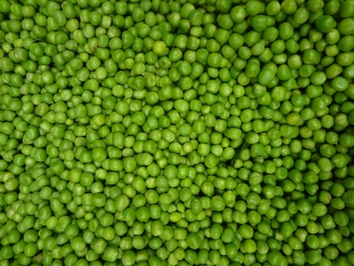 Pea