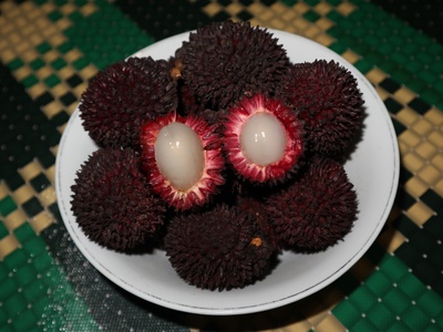 Pulasan