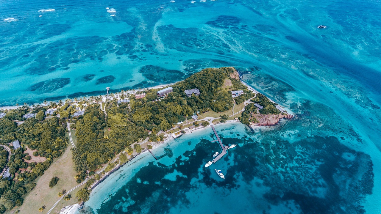 Coral reef and mangrove shoreline in the Grenadines