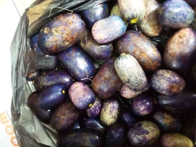 Safou (African pear)