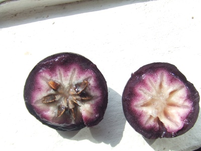 Star apple (Caimito)