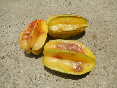 Starfruit (Carambola)
