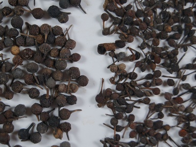 Voatsiperifery Pepper