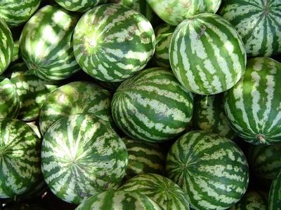 Watermelon