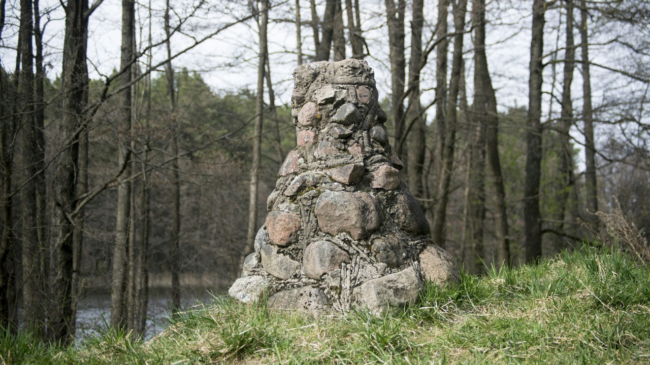 A peat bog in Lithuania with Sphagnum and cotton-grass