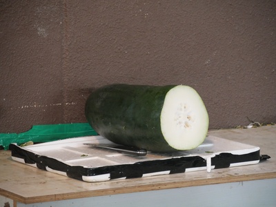 Winter Melon