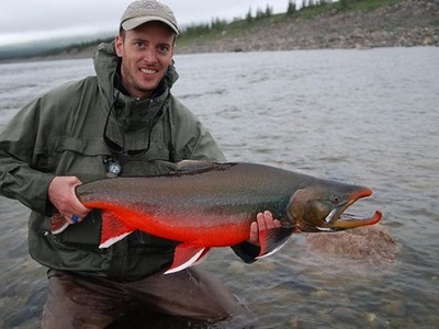 Arctic char