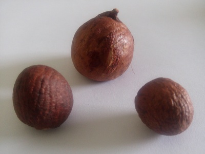 Areca nut