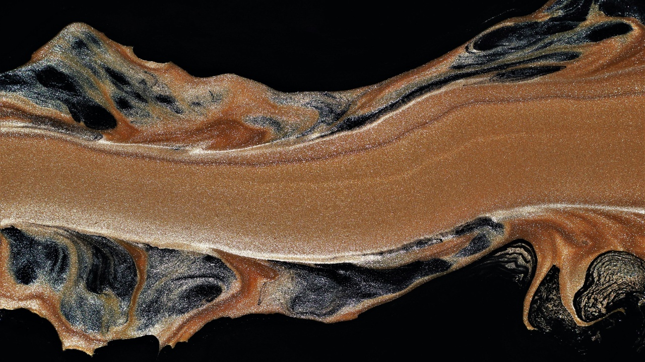 Anatomy of an electric eel showing long electric organ running along the body