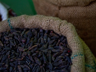 Black cardamom