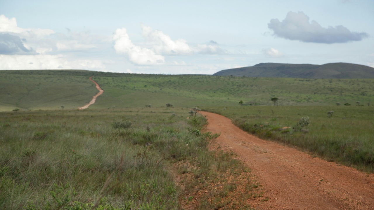 Volunteers planting native species in a peatland restoration site in Wales.