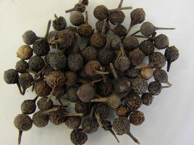 Cubeb