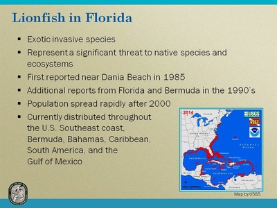 Devil firefish (Lionfish)