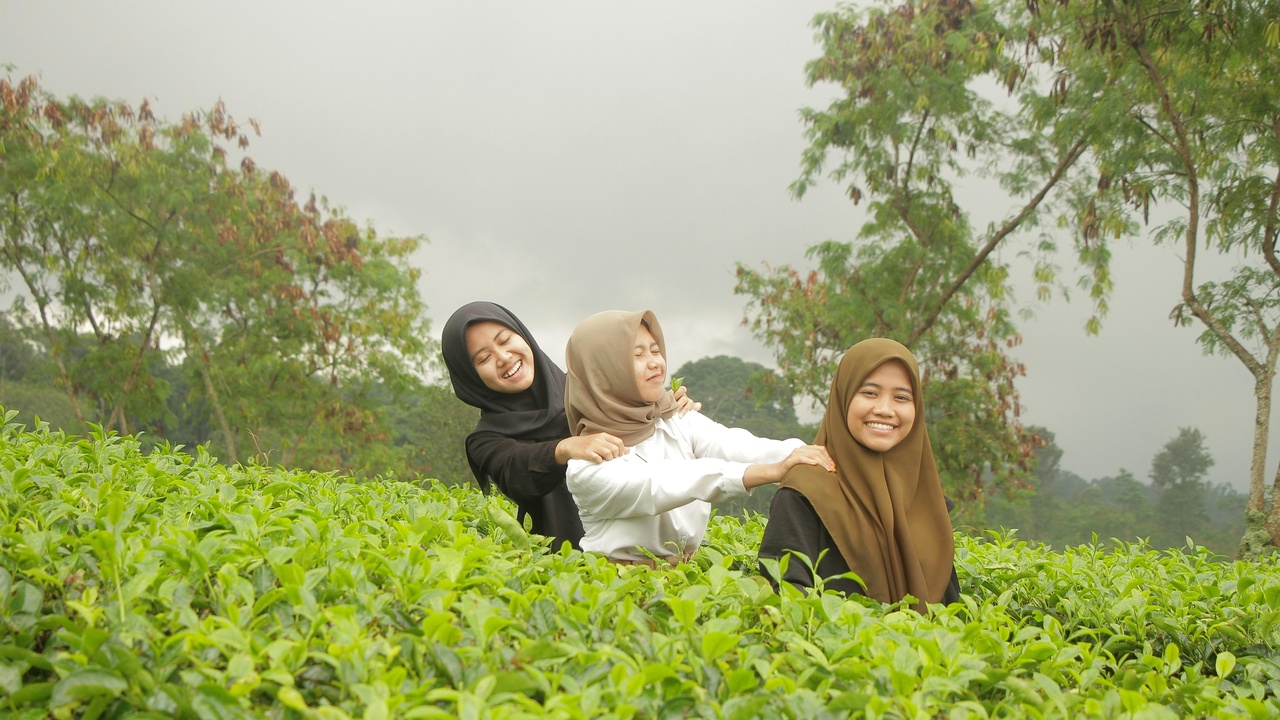Three Sisters and diverse flowering companion plants supporting insects and soil