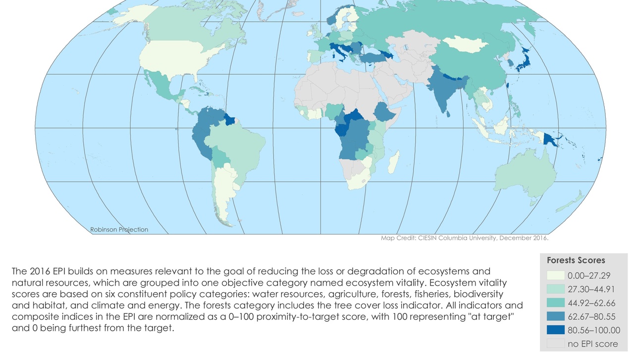 Forest clearing with exposed soil and reduced tree cover along a river.