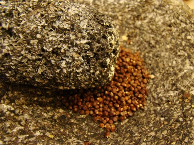 Grains of paradise