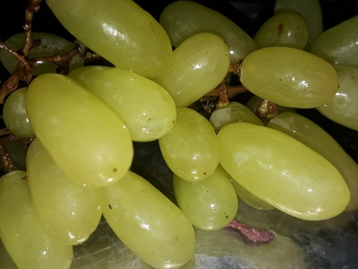 Grapes