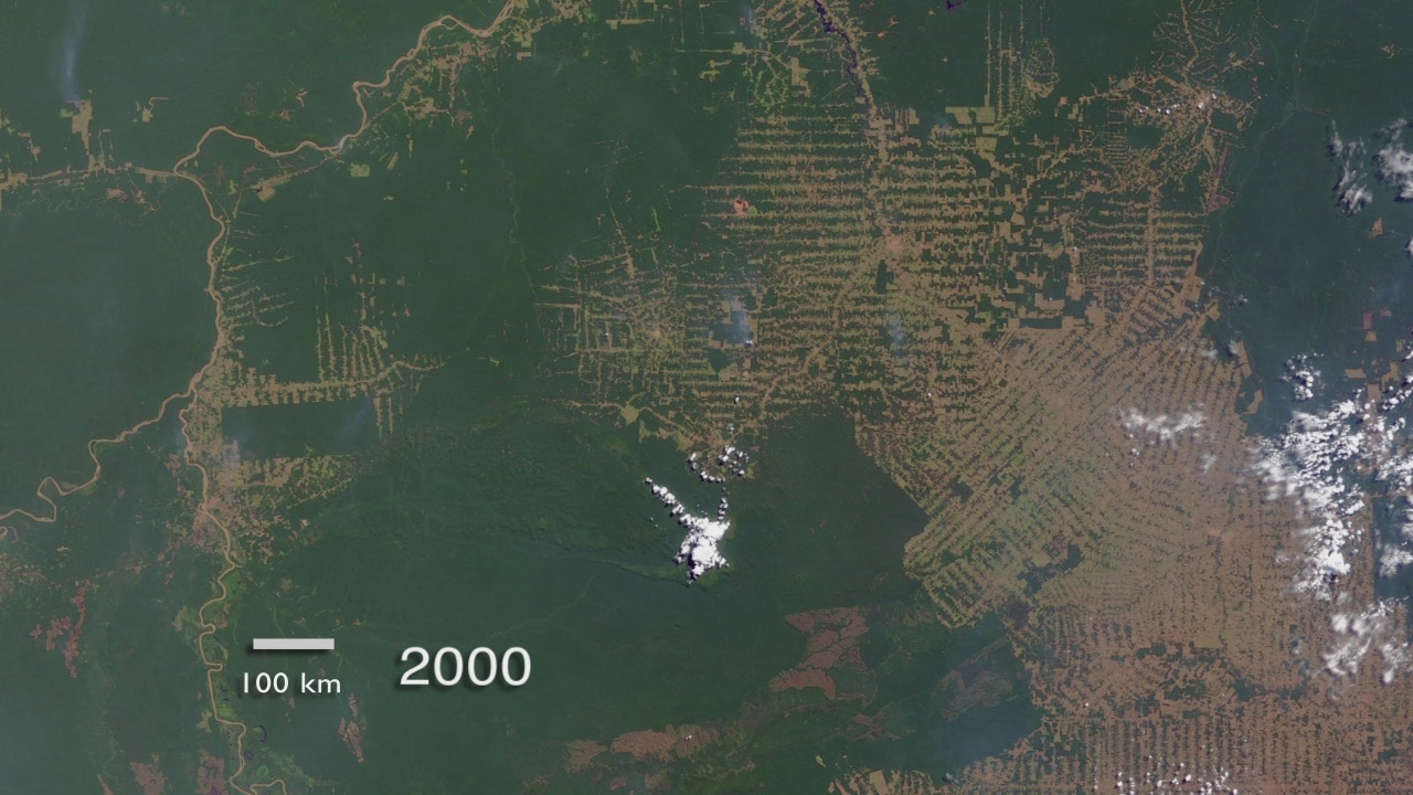 Cleared forest patches and roads showing land-use change and fragmentation