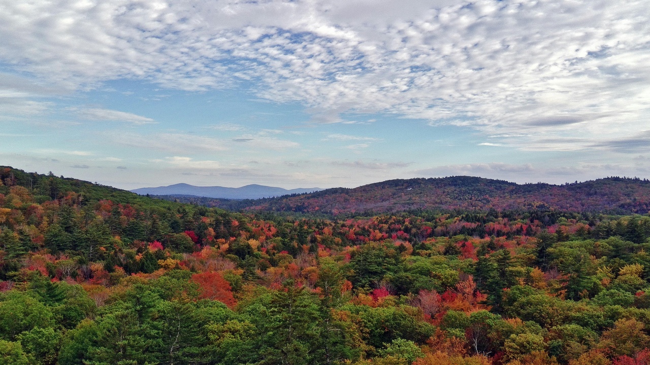 People walking among colorful fall foliage in a deciduous forest, illustrating recreation, seasonal tourism, and cultural enjoyment.