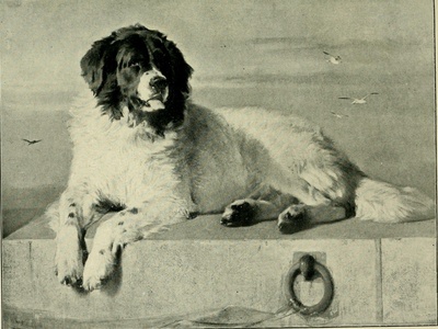 Landseer (ECT)