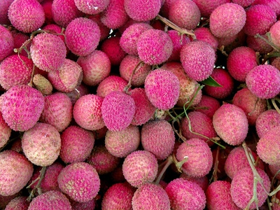 Lychee