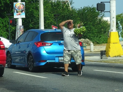 Mamoncillo (quenepa)