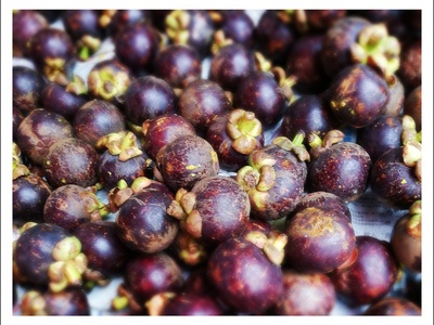 Mangosteen