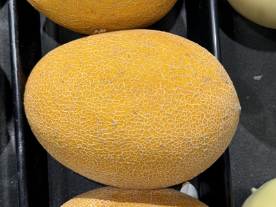 Melon (muskmelon/Hami)