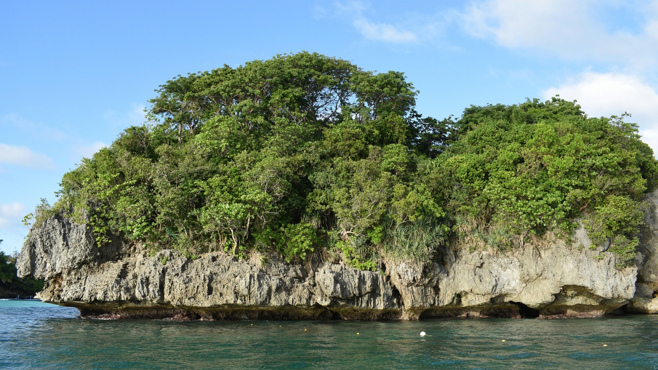 Diverse island morphologies: giant lizards and finch beaks
