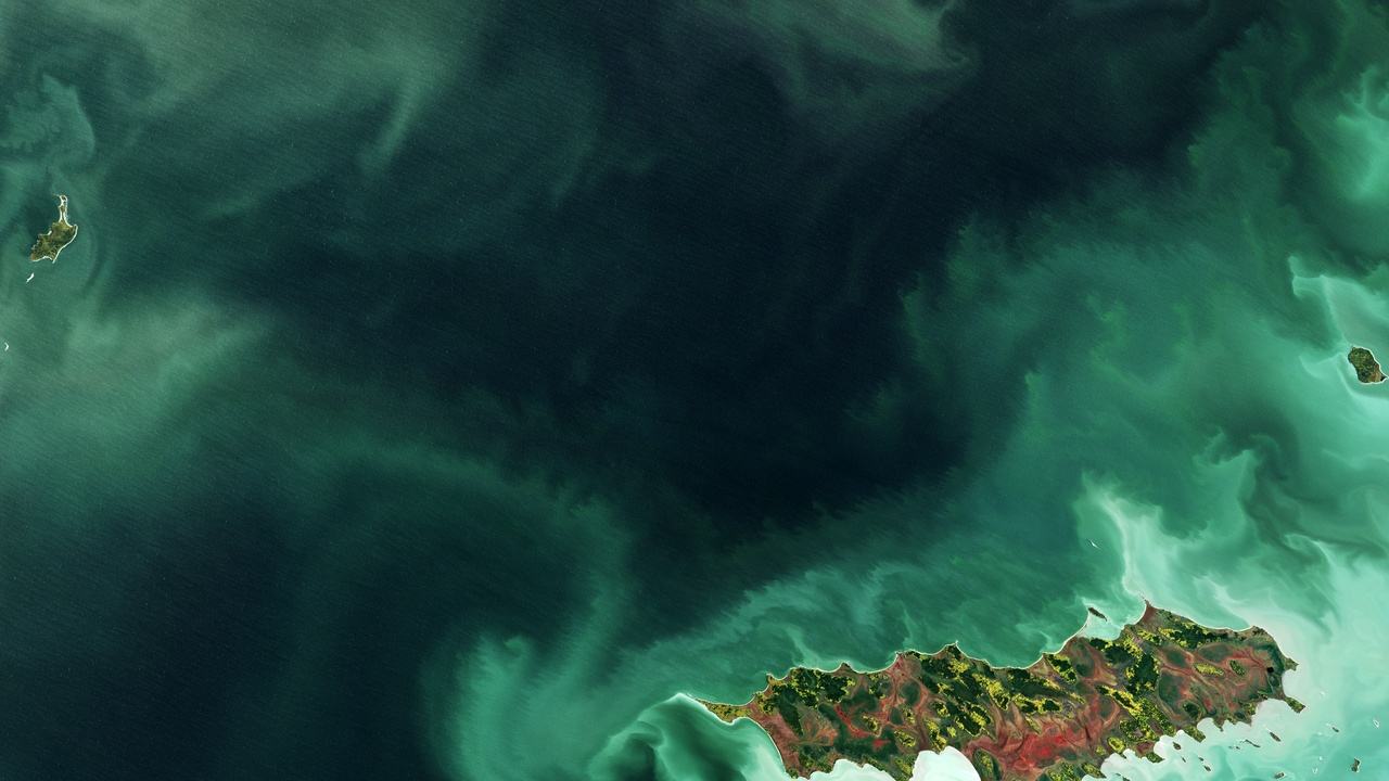 Satellite view of coastal algal bloom indicating water-quality deterioration