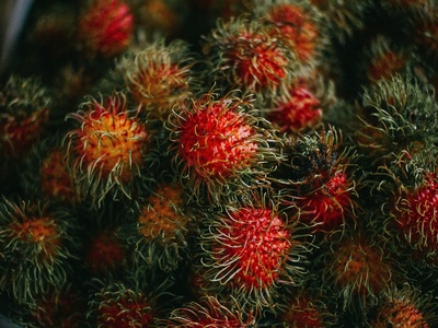 Rambutan