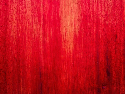 Red Stinkwood