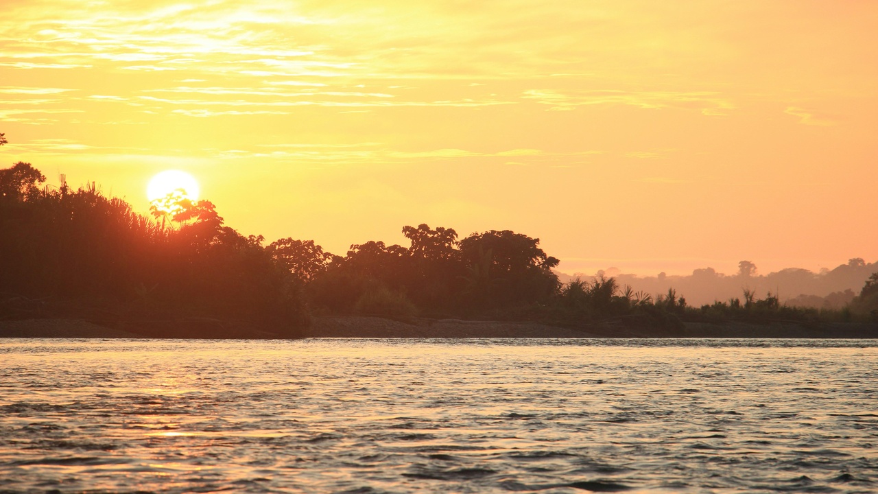 Aquatic and invertebrate life in Brazil including anaconda and leafcutter ants