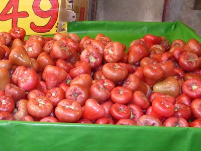 Rose apple (Jambos)