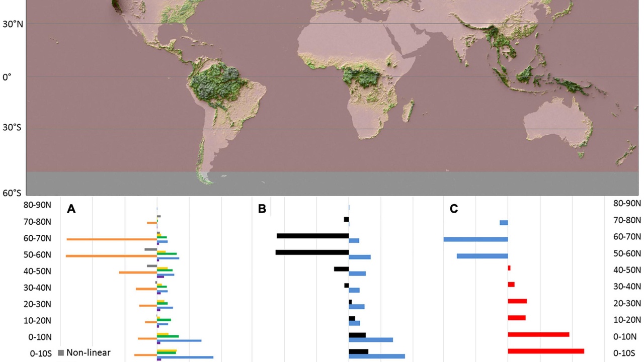 Aerial map showing areas of forest loss around the world.