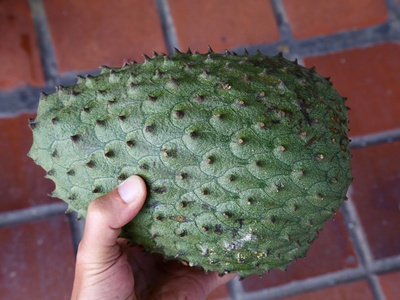 Soursop (Guanábana)