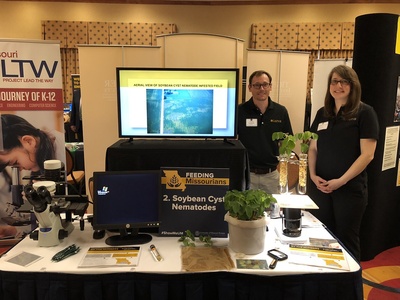 Soybean cyst nematode