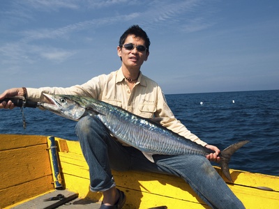 Spanish mackerel