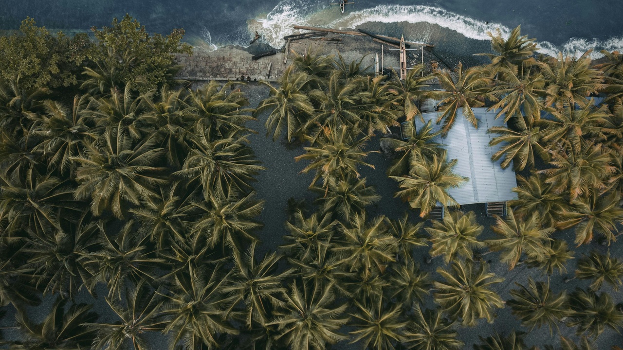 Marketplace scene showing oil palm fruit, shea nuts and kola for sale