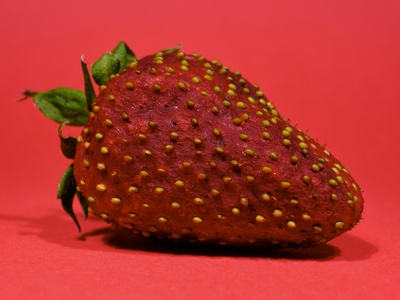 Strawberry (maduixa)