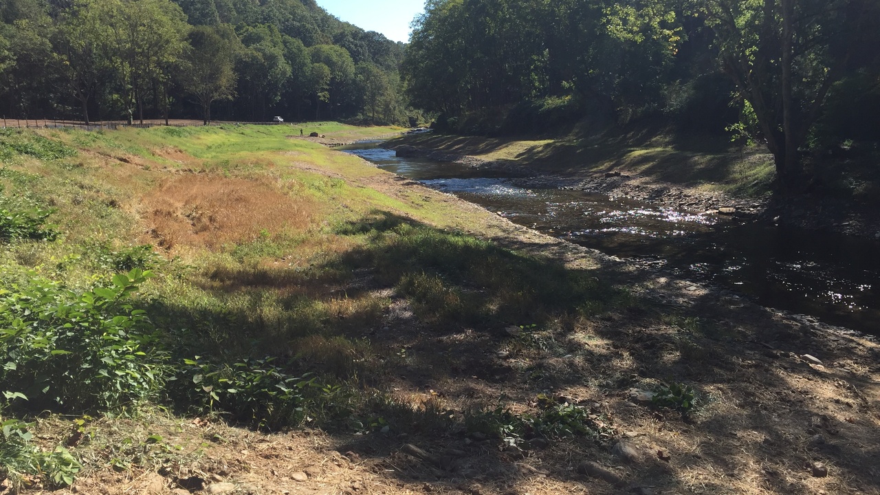Volunteers planting trees as part of a habitat restoration fundraiser